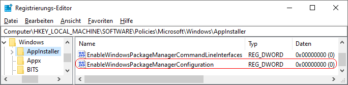 EnableWindowsPackageManagerConfiguration