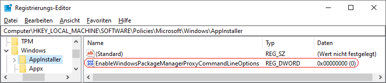 EnableWindowsPackageManagerProxyCommandLineOptions