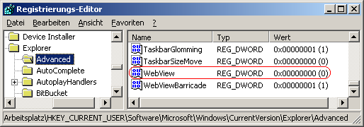 WebView