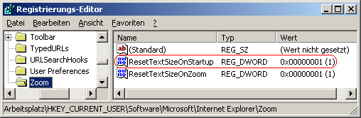 ResetTextSizeOnStartup