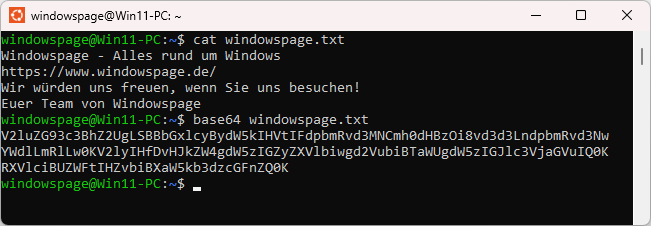 base64 windowspage.txt