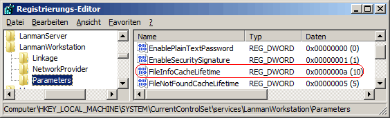 FileInfoCacheLifetime