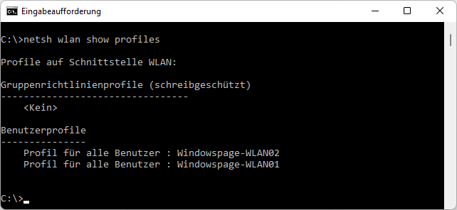 netsh wlan show profiles