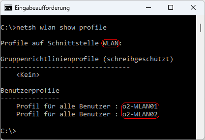netsh wlan show profiles
