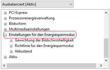 Energieoptionen